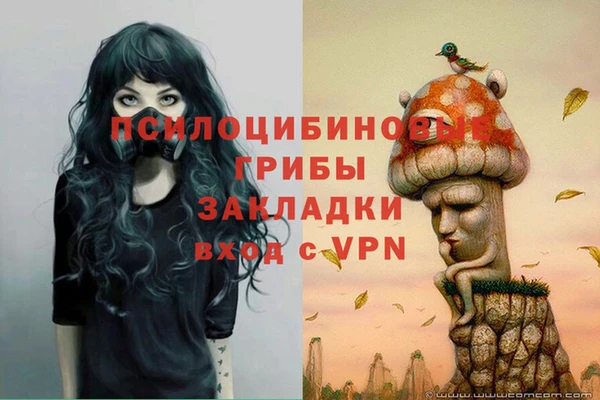 стафф Балабаново